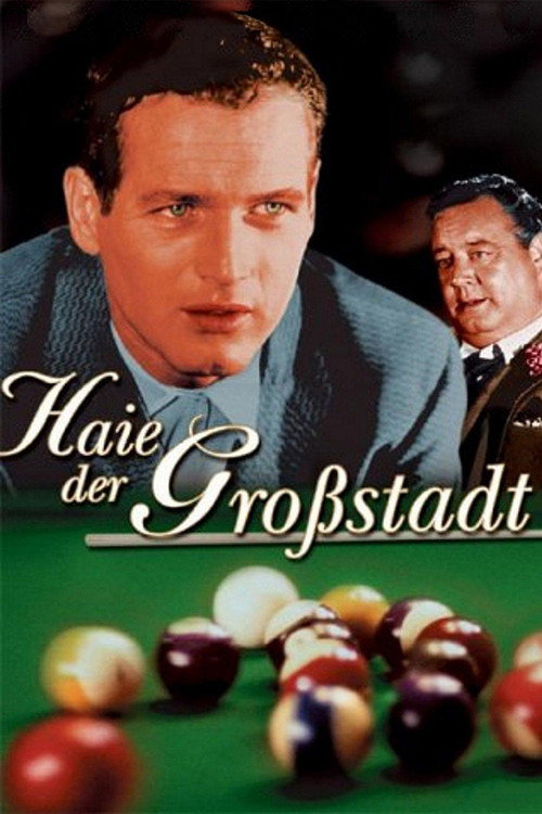 Poster: Haie der Großstadt