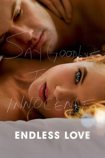 Poster: Endless Love